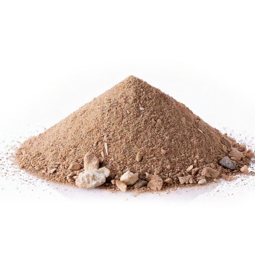 WhatsApp Image 2026-01-11 at 10.11.14 AM