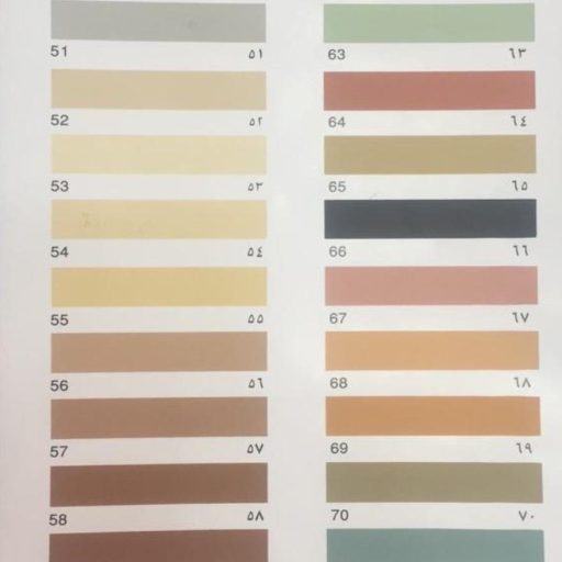 WhatsApp Image 2026-01-11 at 10.11.16 AM