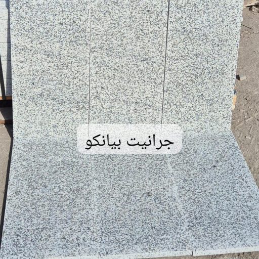 WhatsApp Image 2026-01-11 at 5.19.44 PM (2)