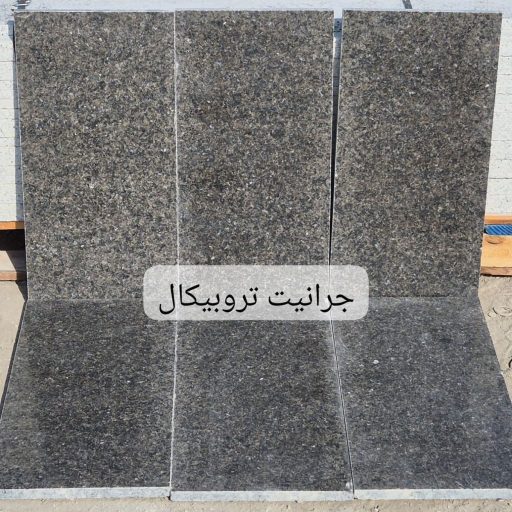 WhatsApp Image 2026-01-11 at 5.19.44 PM